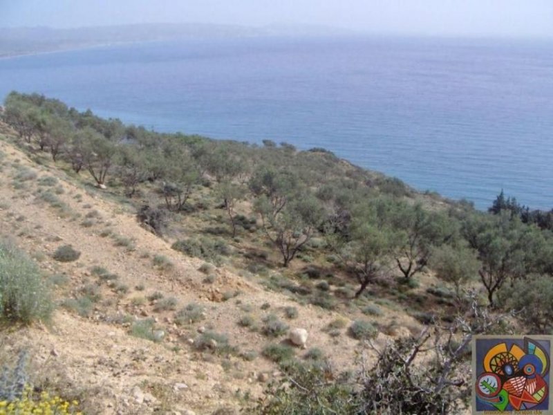 Kokkinos Pirgos Kreta, Kokkinos Pirgos, Agia Galini, gr. Grundstück 130.000qm² mit Panorama Meerblick zu verkaufen Grundstück kaufen